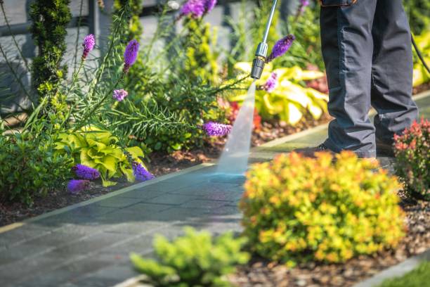 Reliable San Benito, TX Pressure Washing Services Solutions