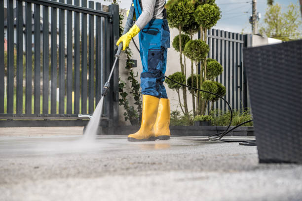 Best Residential House Exterior Washing  in San Benito, TX